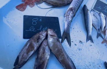 Le Patio - n°13206010120SB - Foto 70