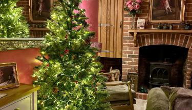 Curiosity Cottage - Foto 4