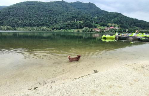 La Corte Dei Sogni - Foto 24