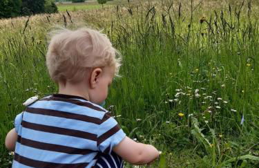 Ferienwohnung-Rotmoosblick-direkt-am-Rande-unberuehrter-Natur - Foto 24