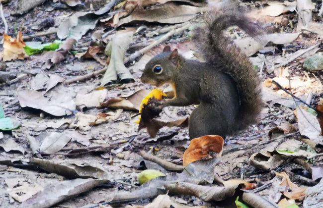Tour por Abraão, la playa Preta y el Acueducto de Ilha Grande - Foto 9