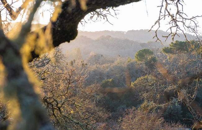 Gable by Avantstay Beautiful 3.5 Acre Oasis w/ Gorgeous Views, Pool & Hot Tub - Foto 34