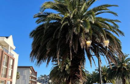 Trestraou 217 - Foto 8