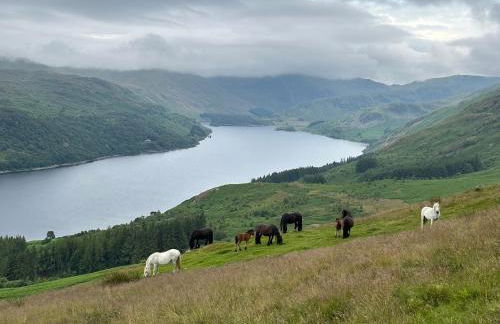 Wild boar barn - Foto 49