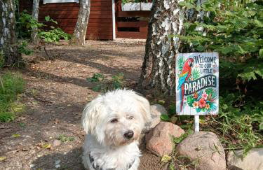 Domek nad jeziorem Strykowskim - Foto 4