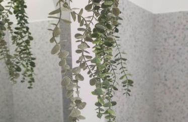 Le grand cocon de Saint Leu parking gratuit ! - Foto 11