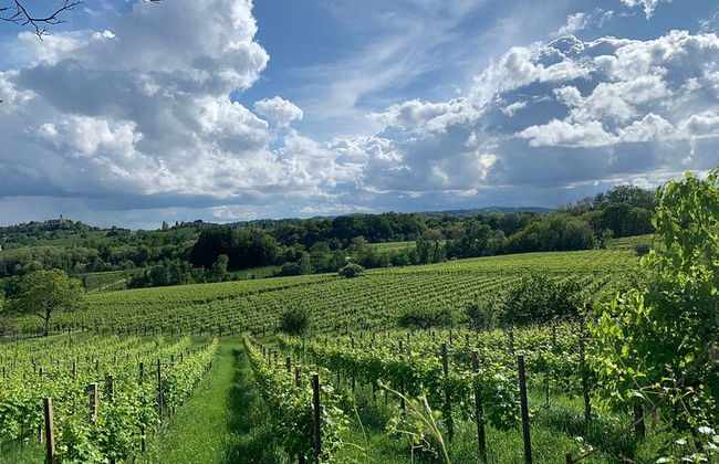 Premium Private Prosecco Hills Tour - 2 Cantine. Tour privato. - Foto 9