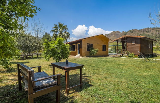 La Maison Hotel Çıralı - Foto 29