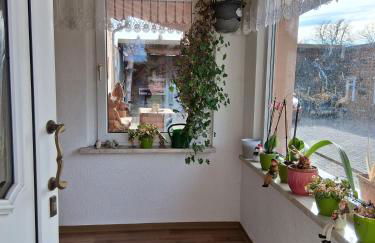 Pension Ronnys wilde Wiese - Foto 12