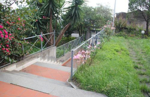 aranceto dell'Etna - Foto 46