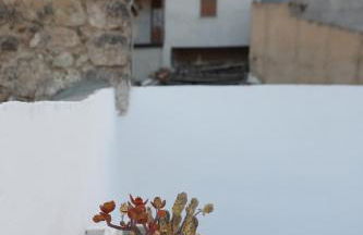 Casa Lupita - Foto 22