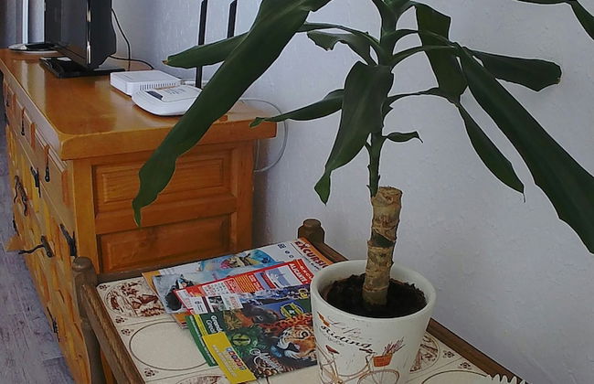 Apartamento Vistas La Mata - Foto 12