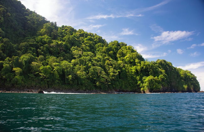 Casa Cielito - Photo 42