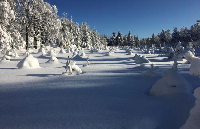 House in Bohemian Near Ski Slope - Foto 30
