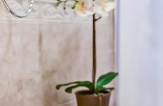 HEART of OLD TOWN Historic 2 BR Walk to KING ST - Foto 28