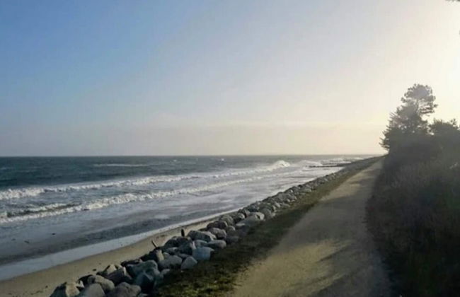 5 Person Holiday Home in Dronningmolle - Foto 29