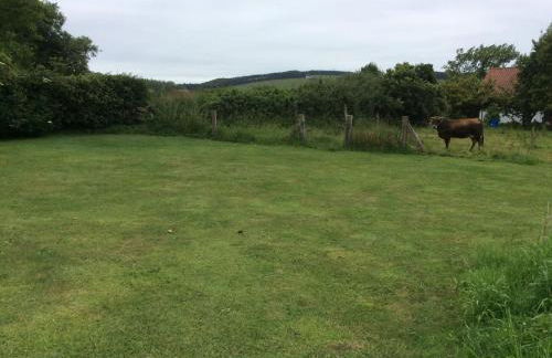 Puente Romano - Foto 9