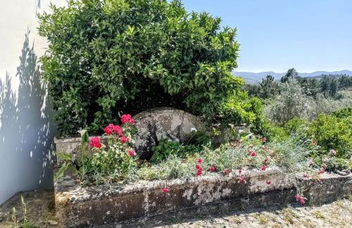 Sunset Vista Apartment B - Foto 37