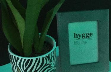 Apartament Miętowa Zebra - Foto 24