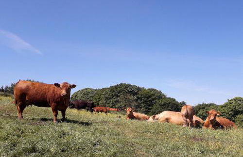 Tyas Cottage - Foto 78