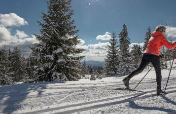 Ferienhaus Florian - Foto 10