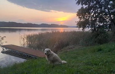 Zacisze nad Rospudą - Foto 6