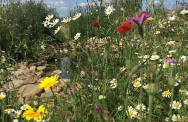 Luxurious Granny House Bell Busk in Malhamdale - Foto 48