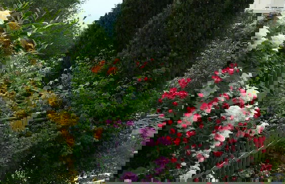 Villa Sequoia - Foto 43