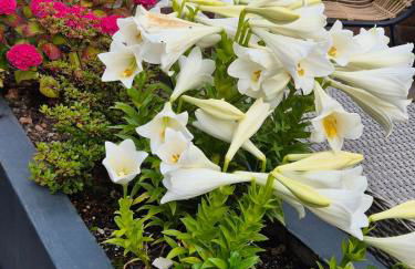 Modern, chic 3-storey town house - Photo 28