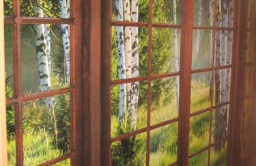 Ferienwohnung BODENSEE , Pension Wauri - Foto 33