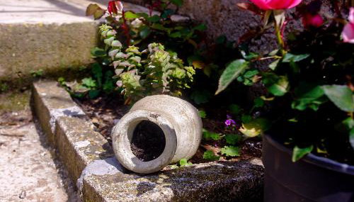 Apartments Frano Ropa - Foto 3