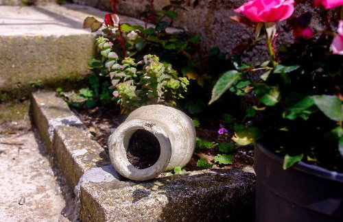 Apartments Frano Ropa - Foto 3