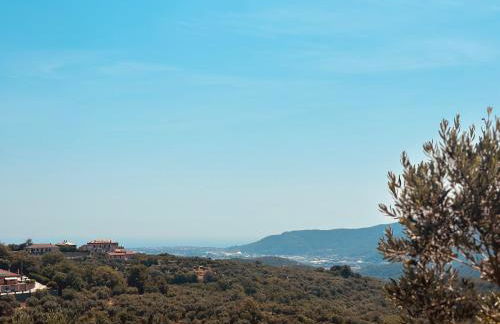 Vitis Verde - Foto 15