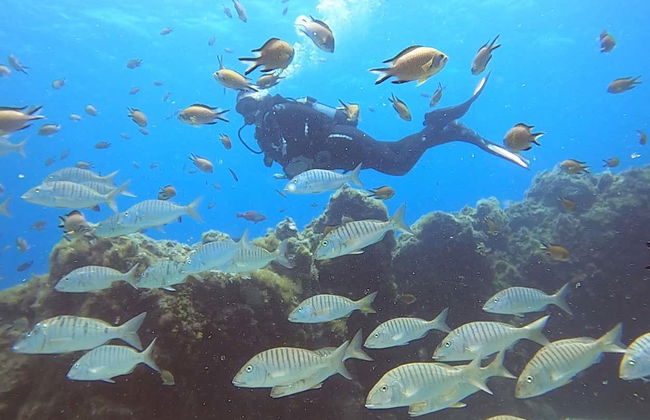 Corso PADI Discover Scuba Diving a Puerto del Carmen - Foto 2