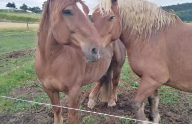Font-romeu via odeillo jolie Appartement 6 personnes plein sud - Foto 39