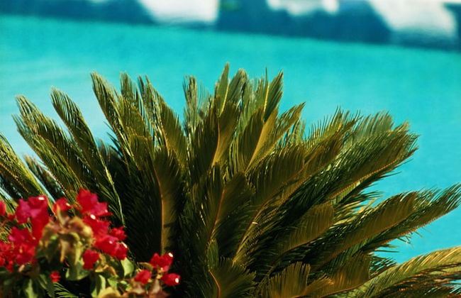 Agriturismo Villa Dafne - Foto 28