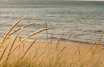 An elegant countryside hideaway with four indulgent ensuite bedrooms - Foto 42