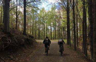 Ecoday camping - Foto 37