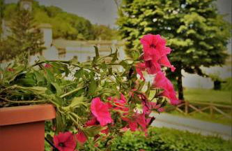 appartamento Nonna Mary - Foto 8