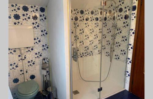 Cosy Penthouse with stunning view on Lugano Lake - Foto 18