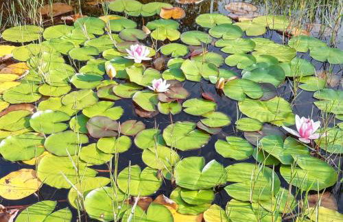 Charming House in Covelas with Pool and Mountain View - Foto 42