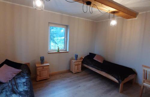 Domek pod Skiełkiem - Photo 33