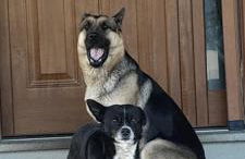 Agriturismo la Tana - Photo 13