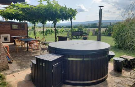 Agriturismo Affaccio su Orvieto - Foto 57