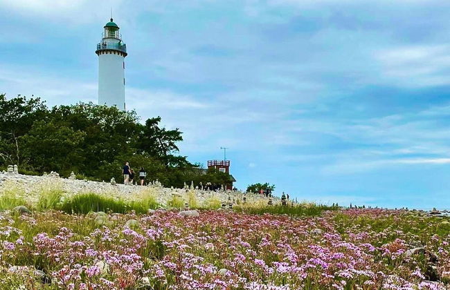 4 Person Holiday Home in Lottorp - Foto 25