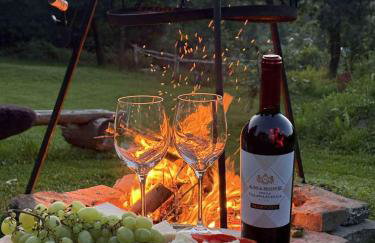 Dom Wakacyjny Brzozowy Gaj Bieszczady - Foto 43