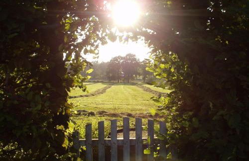 Auf dem Berg Hude - Foto 7