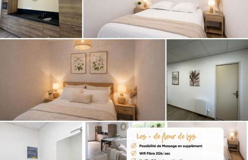 Fleur de Lys Séjour normand spacieux et lumineux - Foto 2