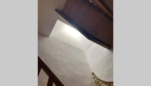 El Taller de Doña Remedios - Foto 4