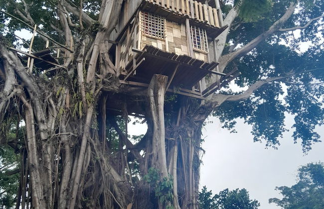 Glowing Mountain view tree house - Photo 22